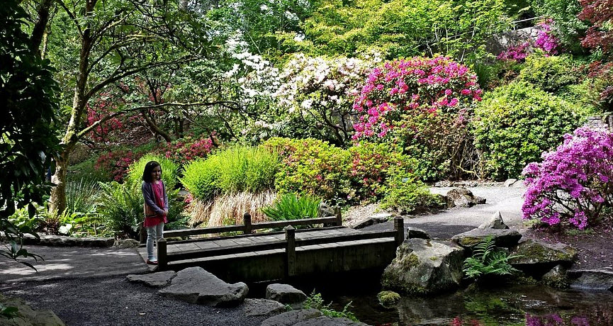 Crystal Springs Rhododendron Garden, United States
